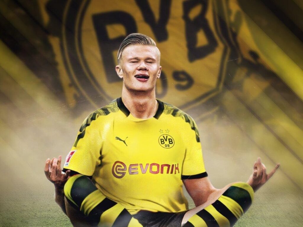 Erling Haaland All-Time Goal Record Analysis